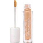 Sublime Luminous Concealer 01